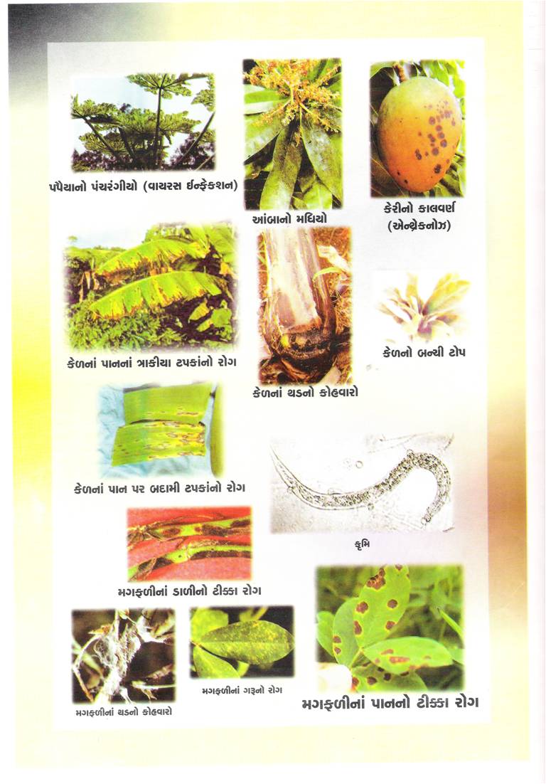 Image Title 14