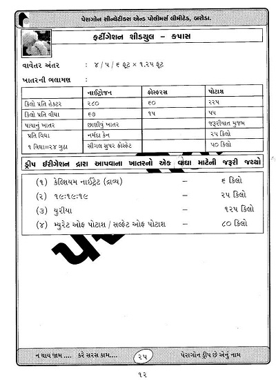 Image Title 8