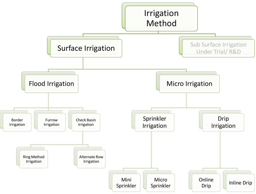 irrigation